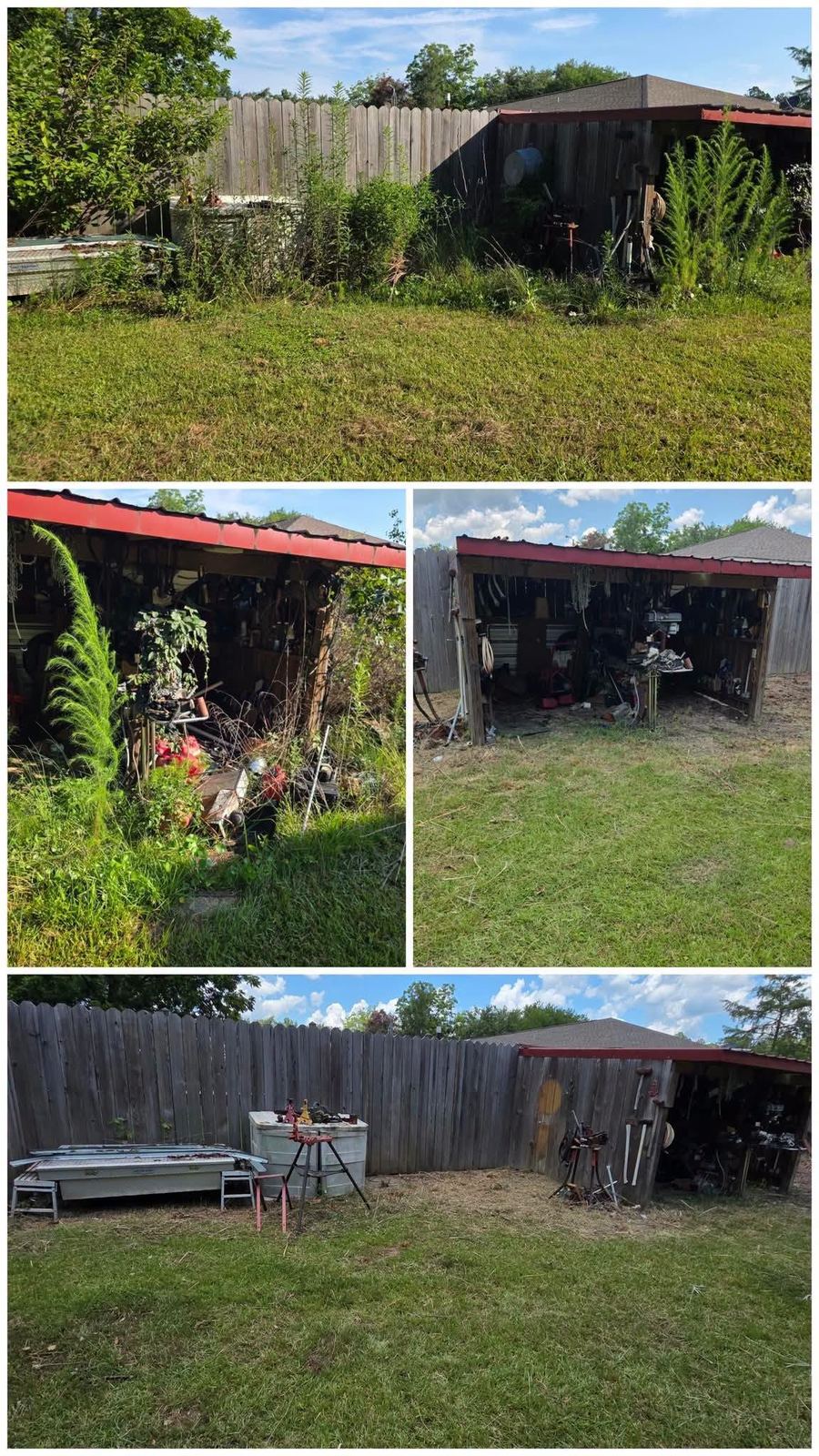 Before and after of a backyard carport buried in weeds and clutter, then cleared with the ground mowed and tools stacked neatly.