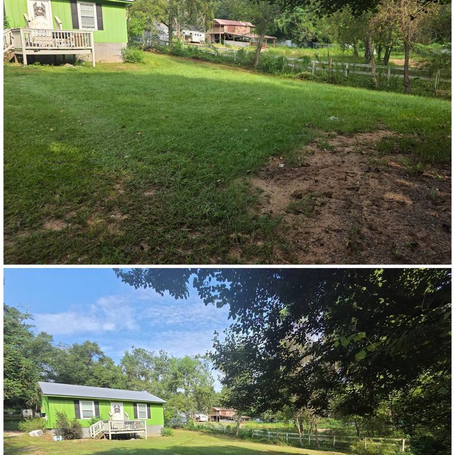 Before and after of a green house property with patchy overgrown grass, then a clean even cut.